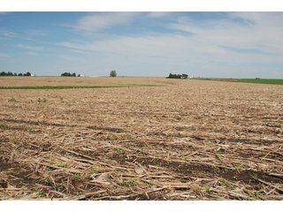 Property photo 13 - 771 Acres - 4 Farms Offered in 9 Tracts