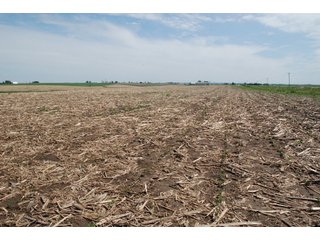 Property photo 11 - 771 Acres - 4 Farms Offered in 9 Tracts