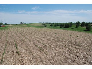 Property photo 6 - 771 Acres - 4 Farms Offered in 9 Tracts