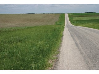 Property photo 20 - 771 Acres - 4 Farms Offered in 9 Tracts