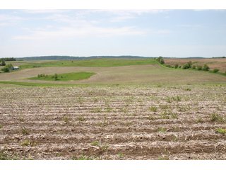 Property photo 17 - 771 Acres - 4 Farms Offered in 9 Tracts