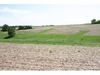 Property photo 15 - 771 Acres - 4 Farms Offered in 9 Tracts