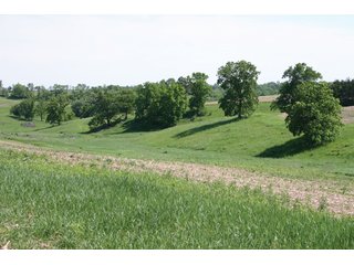 Property photo 10 - 771 Acres - 4 Farms Offered in 9 Tracts