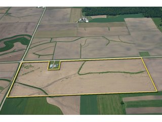 Tract 1 - 771 Acres - 4 Farms Offered in 9 Tracts