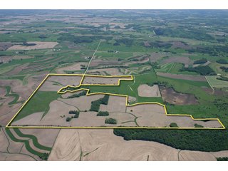 Tracts 8+9 - 771 Acres - 4 Farms Offered in 9 Tracts