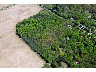 Tracts 12-14 Wooded Building Sites - 868 Acres Offered in 40 Tracts - Historic Land Auction