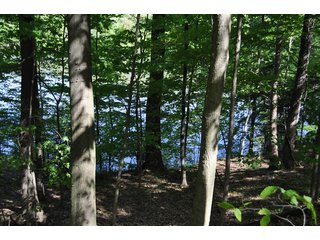 Tract 32 - River Front - 868 Acres Offered in 40 Tracts - Historic Land Auction