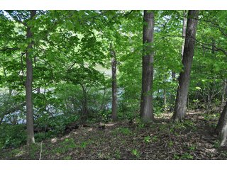 Tract 33 - River Front - 868 Acres Offered in 40 Tracts - Historic Land Auction