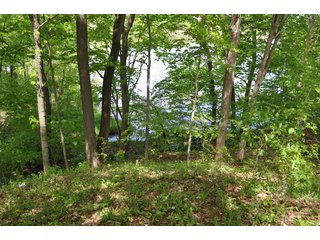 Tract 33 - River Front - 868 Acres Offered in 40 Tracts - Historic Land Auction