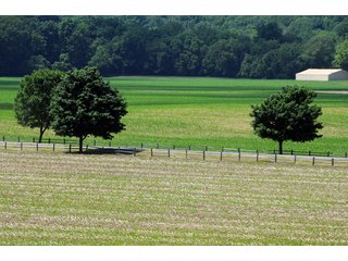 Looking Across Tracts 9-10 - 868 Acres Offered in 40 Tracts - Historic Land Auction