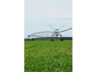 Tract 8 - Corner Pivot - 868 Acres Offered in 40 Tracts - Historic Land Auction