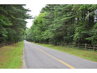 Morris Drive Along Tracts 26-32 - 868 Acres Offered in 40 Tracts - Historic Land Auction