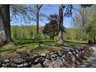 Tract 3 - Landscaping - 868 Acres Offered in 40 Tracts - Historic Land Auction