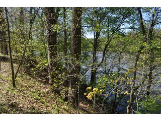 Tract 3 - High Bluffs - 868 Acres Offered in 40 Tracts - Historic Land Auction