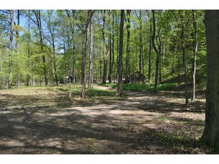 Tract 3 - Walking Paths - 868 Acres Offered in 40 Tracts - Historic Land Auction