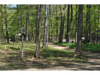 Tract 3 - Walking Paths - 868 Acres Offered in 40 Tracts - Historic Land Auction
