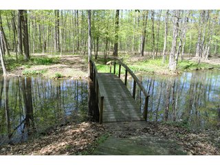 Tract 4 - Foot Bridge - 868 Acres Offered in 40 Tracts - Historic Land Auction