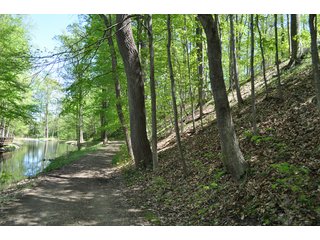 Tract 4 - Wooded Walking Trails - 868 Acres Offered in 40 Tracts - Historic Land Auction