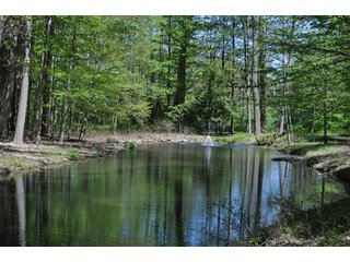 Tract 4  - Pond & Fountain - 868 Acres Offered in 40 Tracts - Historic Land Auction