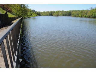 Tract 3 - Along Sea Wall - 868 Acres Offered in 40 Tracts - Historic Land Auction