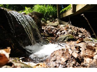 Small Waterfall - Tract 4 - 868 Acres Offered in 40 Tracts - Historic Land Auction