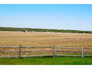 Looking Across Tract 9 - 868 Acres Offered in 40 Tracts - Historic Land Auction