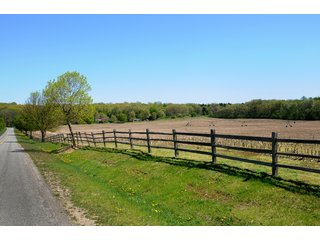 Morris Drive Along Tracts 8-9 - 868 Acres Offered in 40 Tracts - Historic Land Auction
