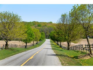 Morris Drive Between Tracts 9-10 - 868 Acres Offered in 40 Tracts - Historic Land Auction