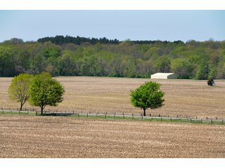 Tracts 9-10 - 868 Acres Offered in 40 Tracts - Historic Land Auction