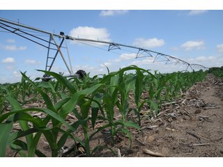Tract 9 - 868 Acres Offered in 40 Tracts - Historic Land Auction