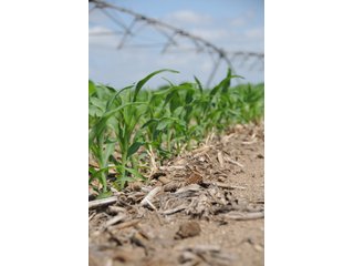 Tract 9 - 868 Acres Offered in 40 Tracts - Historic Land Auction