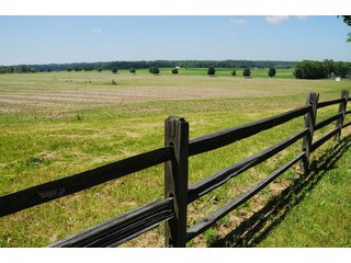 Split Rail Cedar Fencing along Tract 10 - 868 Acres Offered in 40 Tracts - Historic Land Auction