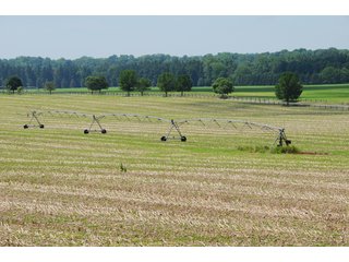 Pivot Irrigation - Tract 10 - 868 Acres Offered in 40 Tracts - Historic Land Auction