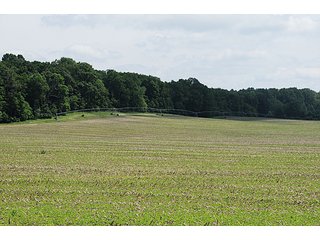 South End Tract 10 with Pivot Irrigation - 868 Acres Offered in 40 Tracts - Historic Land Auction