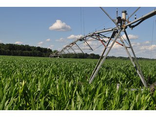 Tract 8 - 868 Acres Offered in 40 Tracts - Historic Land Auction