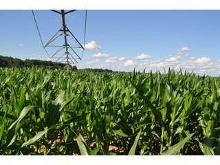 Tract 8 - 868 Acres Offered in 40 Tracts - Historic Land Auction