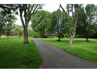Tract 36 - Paved Drive - 868 Acres Offered in 40 Tracts - Historic Land Auction