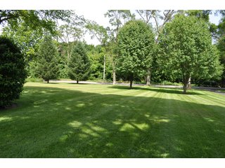 Tract 36 - Back Yard - 868 Acres Offered in 40 Tracts - Historic Land Auction