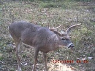 Property photo 8 - 1974 Acres in 23 Tracts Located in Christian, Hopkins & Edmonson County, Kentucky