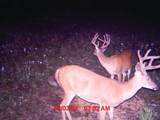 Property photo 6 - 1974 Acres in 23 Tracts Located in Christian, Hopkins & Edmonson County, Kentucky