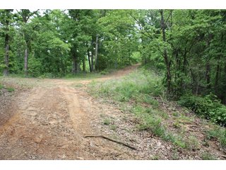 Property photo 30 - 1974 Acres in 23 Tracts Located in Christian, Hopkins & Edmonson County, Kentucky