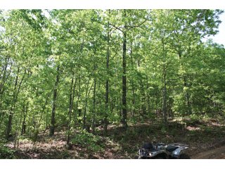 Property photo 22 - 1974 Acres in 23 Tracts Located in Christian, Hopkins & Edmonson County, Kentucky