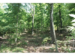 Property photo 25 - 1974 Acres in 23 Tracts Located in Christian, Hopkins & Edmonson County, Kentucky