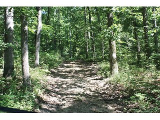 Property photo 40 - 1974 Acres in 23 Tracts Located in Christian, Hopkins & Edmonson County, Kentucky