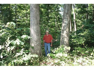 Property photo 20 - 1974 Acres in 23 Tracts Located in Christian, Hopkins & Edmonson County, Kentucky