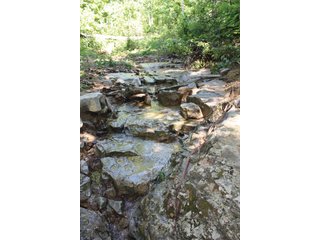 Property photo 24 - 1974 Acres in 23 Tracts Located in Christian, Hopkins & Edmonson County, Kentucky