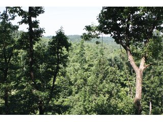 Property photo 1 - 1974 Acres in 23 Tracts Located in Christian, Hopkins & Edmonson County, Kentucky