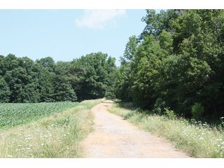 Property photo 41 - 1974 Acres in 23 Tracts Located in Christian, Hopkins & Edmonson County, Kentucky