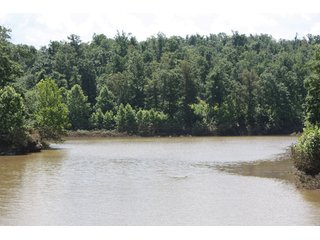 Property photo 36 - 1974 Acres in 23 Tracts Located in Christian, Hopkins & Edmonson County, Kentucky