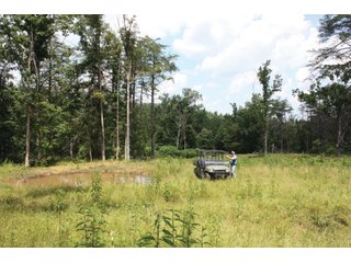 Property photo 18 - 1974 Acres in 23 Tracts Located in Christian, Hopkins & Edmonson County, Kentucky